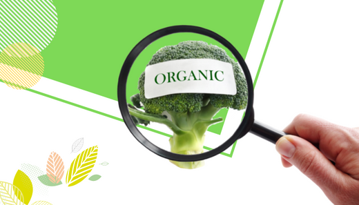 organic food 